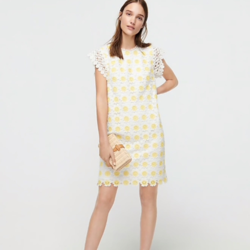 J. Crew Daisy Short-Sleeve Crochet Dress